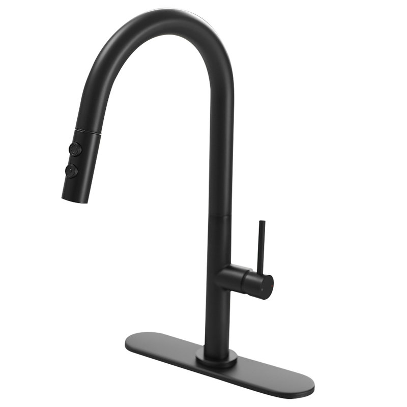 VIBRANTBATH Pull Out Kitchen Faucet, Matte Black