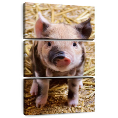Abner Farm Piglet