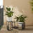 Set Of 2 Black Metal Wire Rectangular Nesting Planter Stand