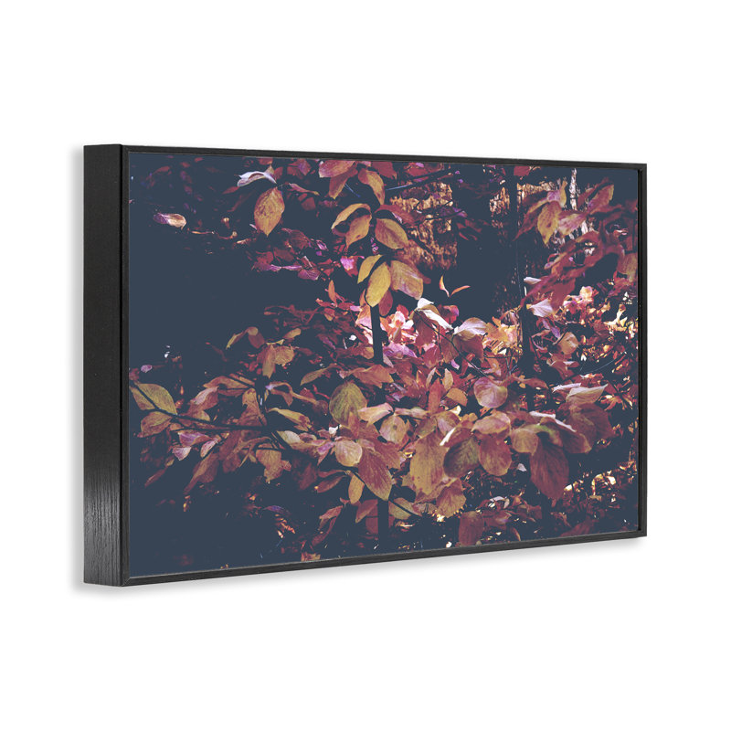 Dicky Forest Leaves, giclée encadrée, design par Gemma Bardot, H 20 po x l 30 po, Giclée encadrée noir minuit
