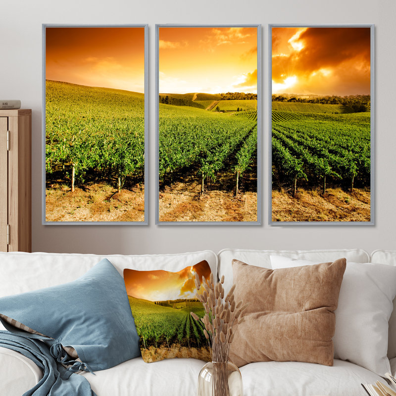 «Sunset Vineyard Panorama», photographie sur toile flottante 3 pièces, H 28 po x l 36 po, Argent argent