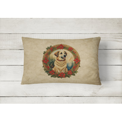 Christmas Flowers Frame Other/No Pattern Outdoor Throw Pillow