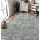 Sapphire Oriental Area Rug in Gray
