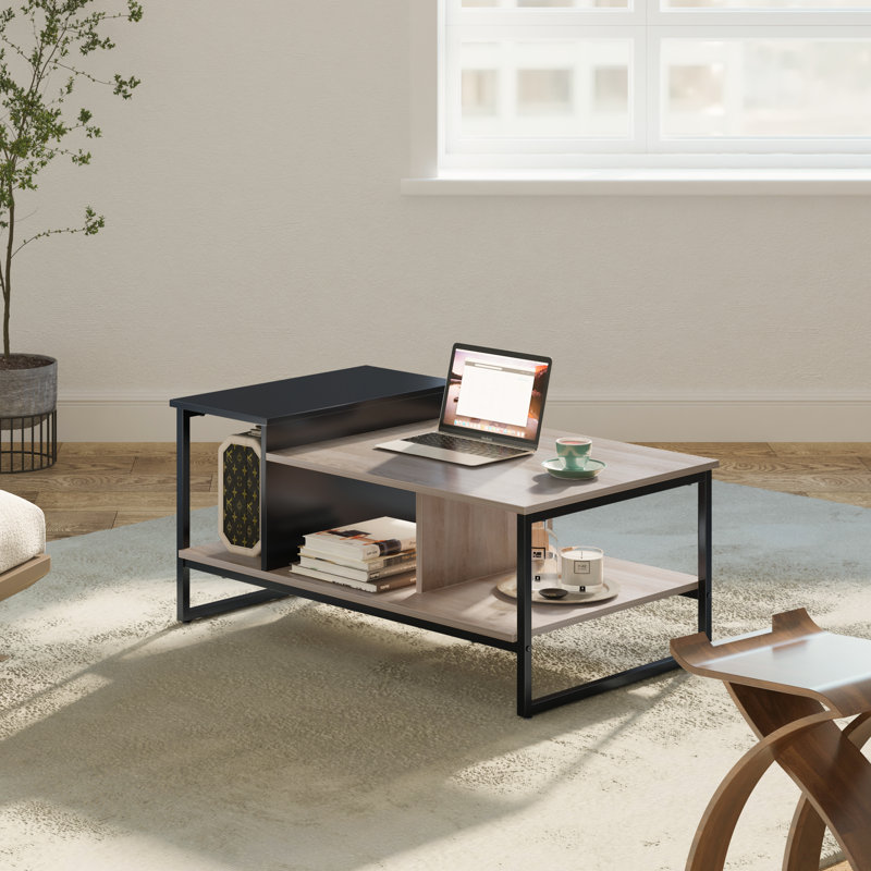 Table basse avec rangement Keiana, H 18,9 po x L 39,3 po x l 23,6 po, Bûche / noir