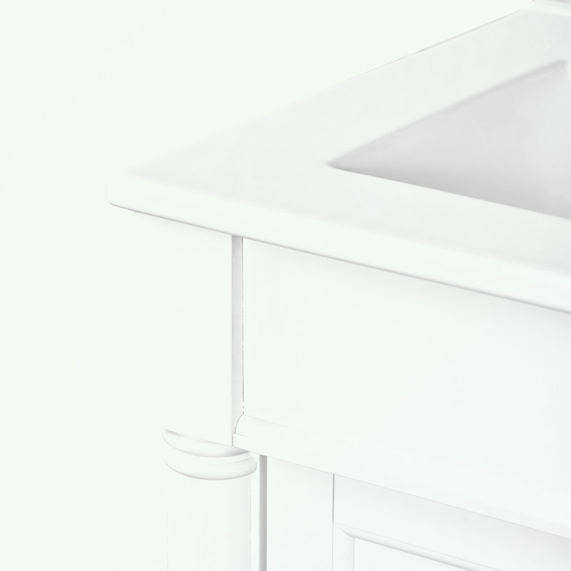 Pollark 24'' Single Bathroom Vanity with Top, White, Silver
