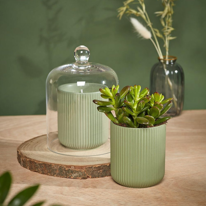 Candle Accessories