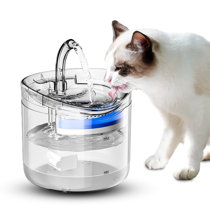 https://assets.wfcdn.com/im/18274018/resize-h210-w210%5Ecompr-r85/2303/230307422/Cat+Water+Fountain+Automatic+Dog+Pet+Water+Dispenser+Ultra-Quiet+with+Filter.jpg