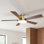  52" Smart Flush Mount LED Ceiling Fan with Remote & App, Low Profile Ceiling Fan with 3CCT Dimmable Light, Whisper-Quiet DC Motor, Double-Sided Blades
