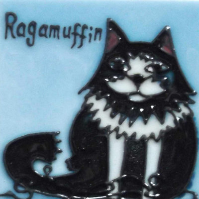 Aimant pour carreaux de céramique Conwell Ragamuffin