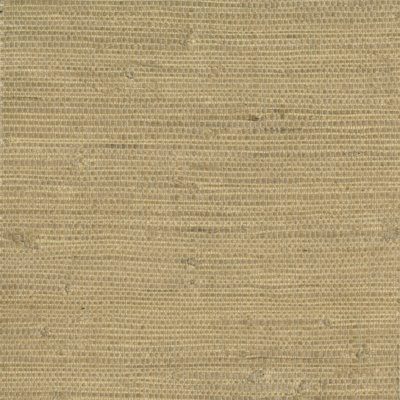 Papier peint à carreaux 24 'x 36 "Sanger Sanger
