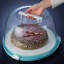 Keeeper round cake container high top