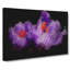 Purple Crocus Flower In Abstract - Wrapped Canvas-55341845