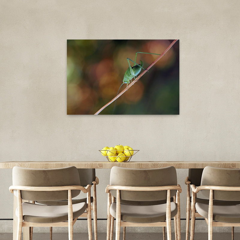 Green Grasshopper Macro Delicate Vibrant Contemporary Grasshopper Nature Plant Wall Art Print 1 Piece Wrapped Canvas Wall Art