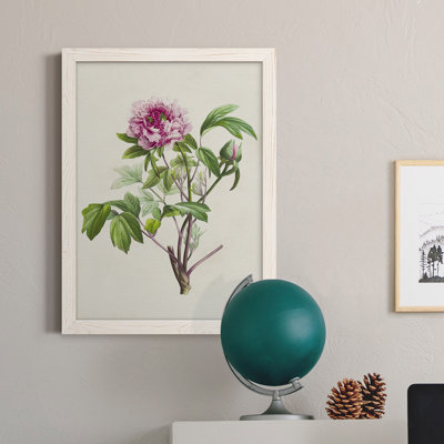 «Pretty Pink Botanicals V», reproduction sur toile encadrée