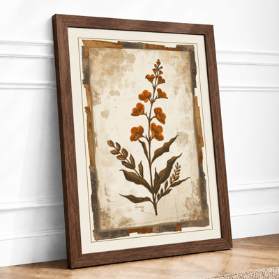 Antique Specimen Botanical - Framed Print