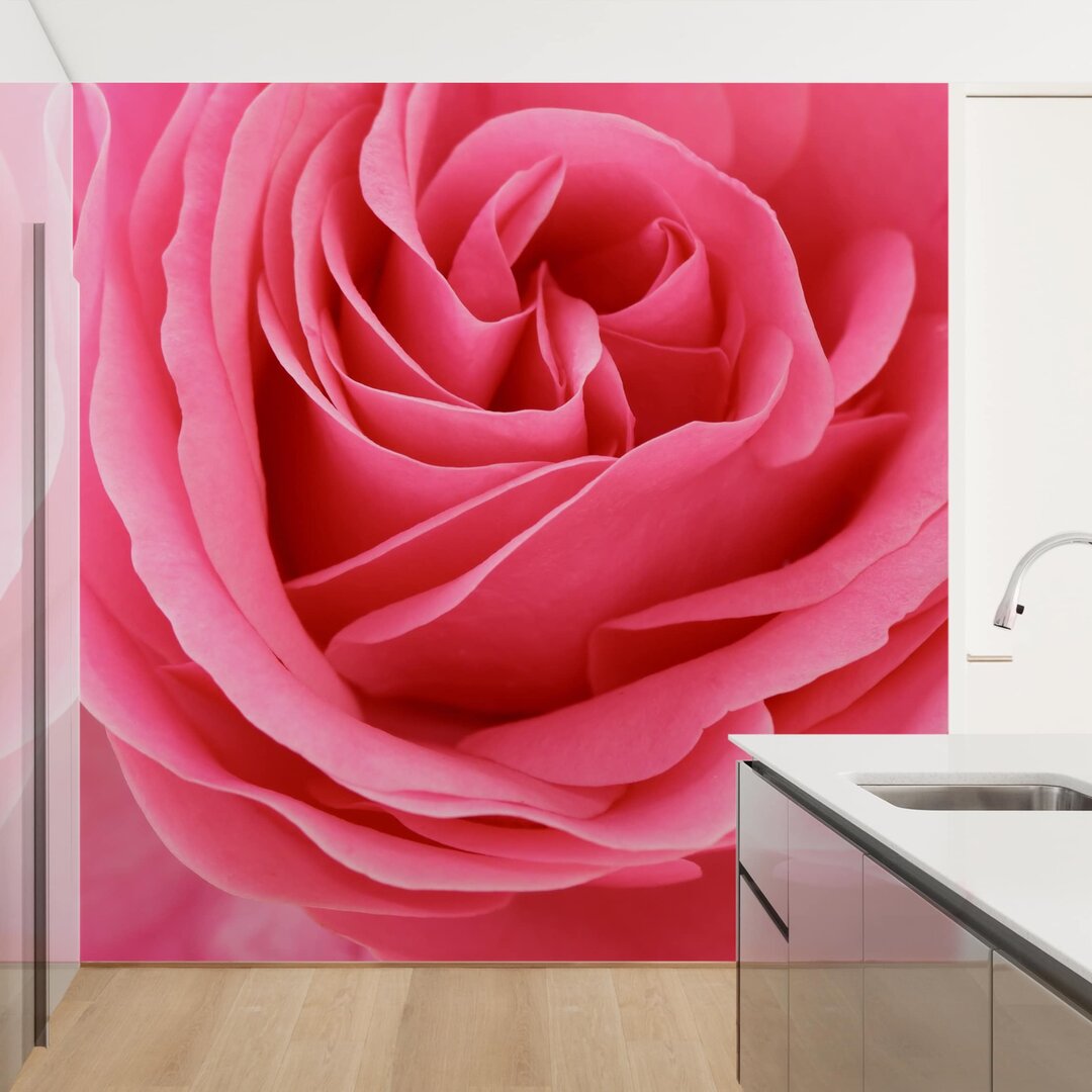 Matt Fototapete Lustful Pink Rose 2,4 m x 240 cm