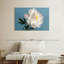 Fleurs de pivoine blanche-108730606