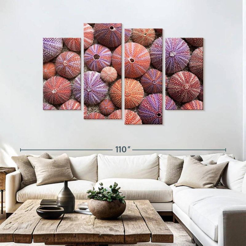 Brampt Empty Sea Urchin Shells, 54" H x 84" W