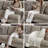 Fiarvale Upholstered 92'' Sofa-97832148