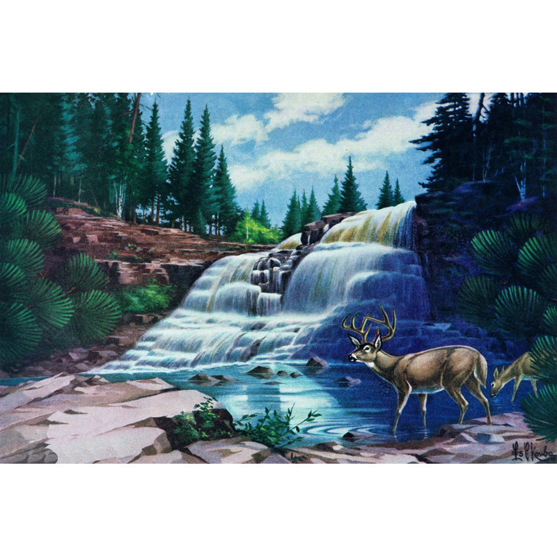 Wrapped Canvas Print, 51cm H x 76cm W x 3.81cm D