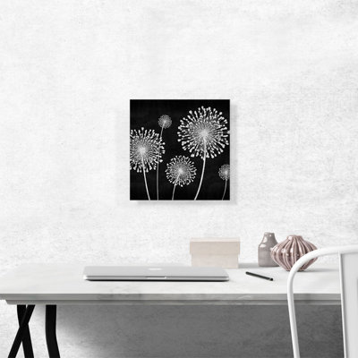 " Dandelion Black And White "