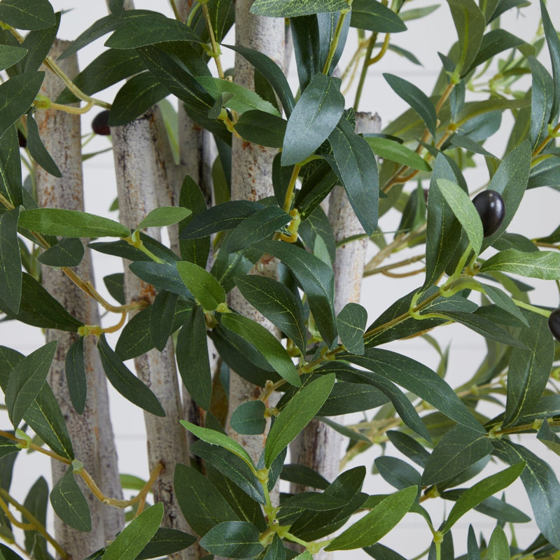 Olive Tree in White Tower Planter