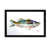 Black Floater Framed