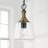 1 - Light Matte Black With Brass Single Pendant