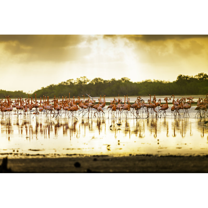 Tropical Coastal Lagoon by Apomares - Wrapped Canvas Print, 30cm H x 46cm W