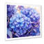 Harmonie mauve, fleurs, harmonie I - art mural hortensia-2078477413-2078477412
