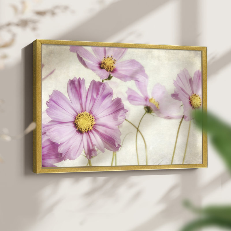 «Pink Cosmos I», reproduction encadrée, H 8 po x l 10 po, Or