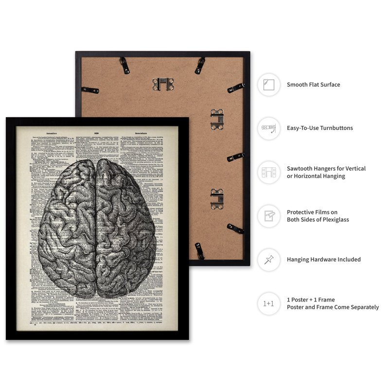 Cerveau humain, Black Framed, Poster, 11"H x 14"W
