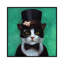 « tuxedo cat » par lucie heffernan-reproduction de photo-49902398-53128217
