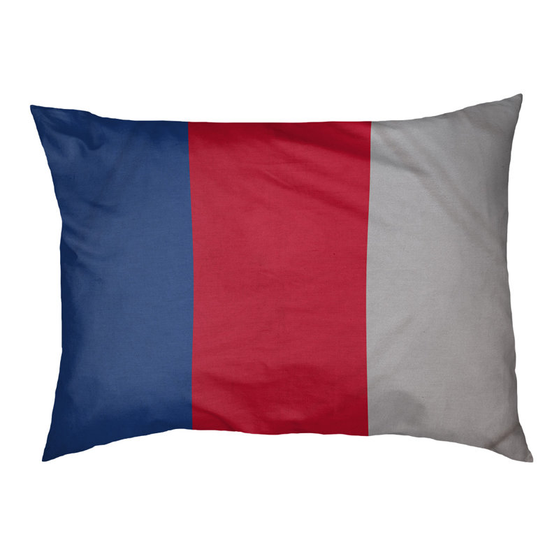 Coussin Designer, Moyen (L 18 po x l 28 po), Bleu royal / rouge / gris
