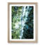 Forest Road in Abstract - Framed Print-55577572-55577573