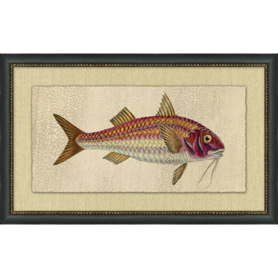 Étude de poisson 6 - Peinture encadrée