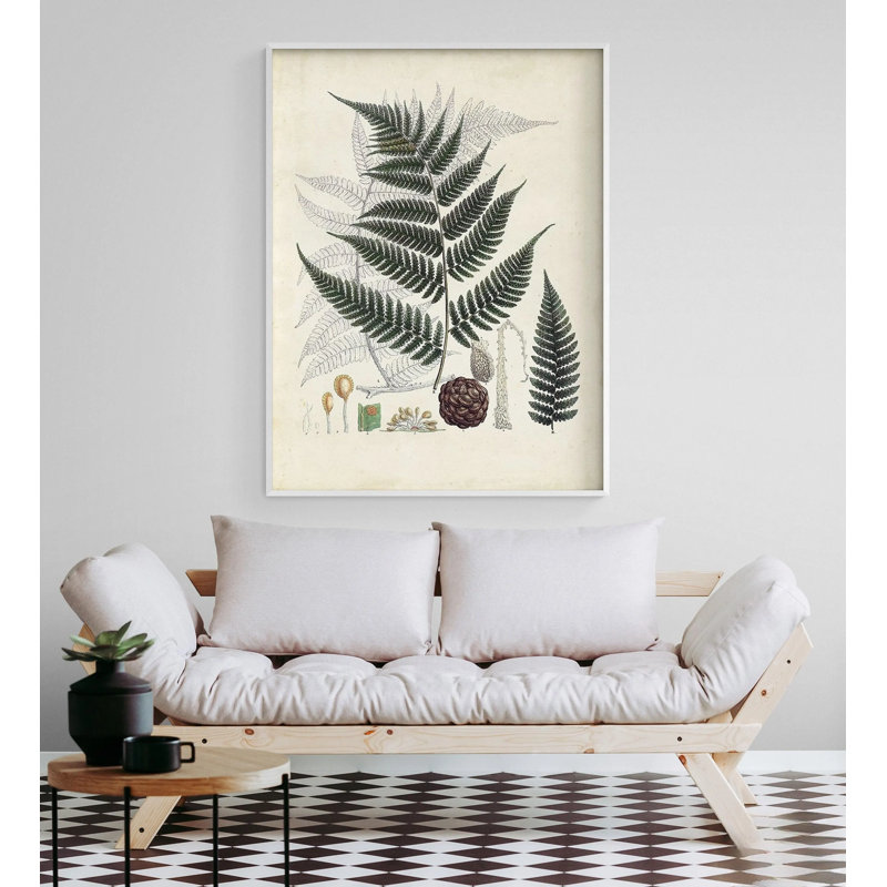 Collection de fougères VI, affiche botanique rétro, décor de chambre botanique, décor de chambre d'invité fougère rétro, art de fougère verte, plante Lady Decor