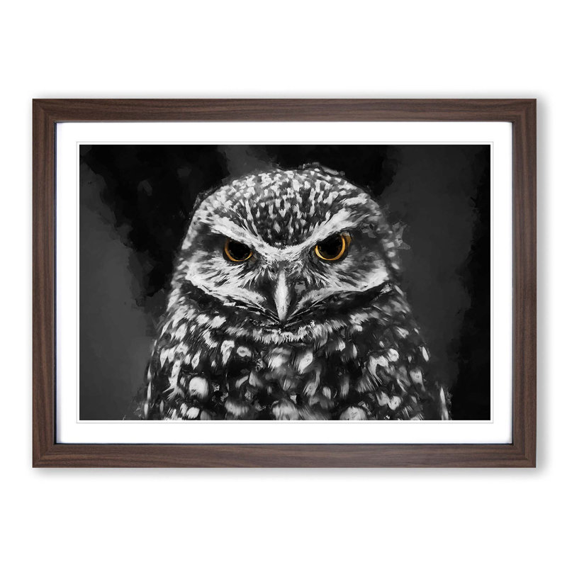 Little Owl in Abstract - Picture Frame Art Print, Walnut, 40cm H x 60cm W x 2cm D