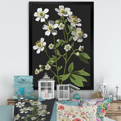 «Diphallia» sur fond gris II - imprimé floral blanc