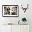 Pair of Loving Lions - Picture Frame Graphic Art Print on MDF-55735697-55735695