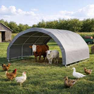 12' X 12' Corral Shelter For Livestock