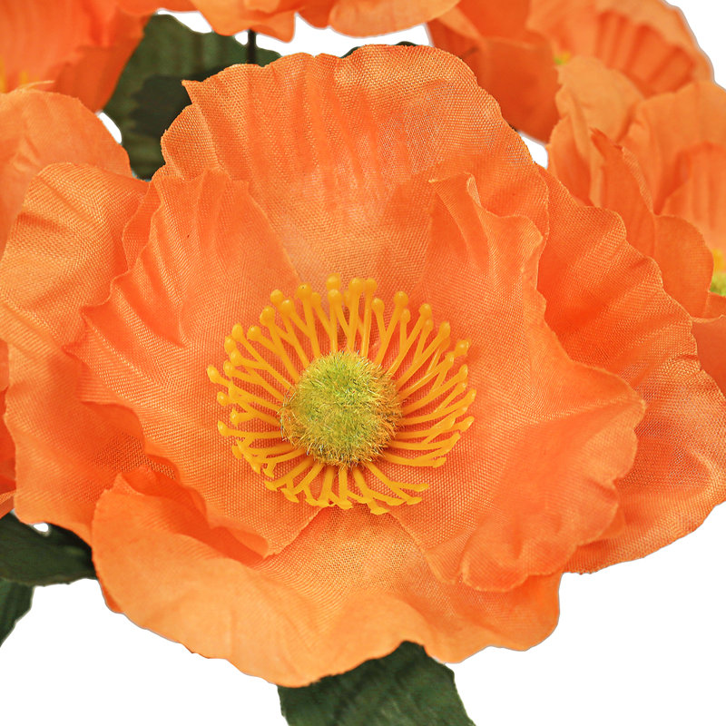 Buisson de pavot artificiel, Orange