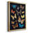 " Collected Flutter IV "-851662921-851662968
