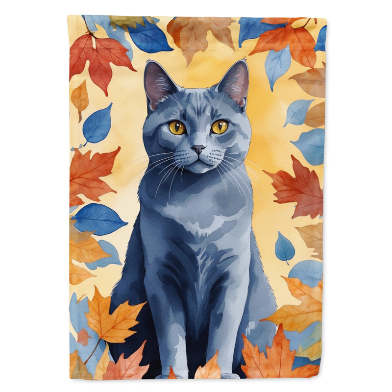 Chat en feuilles d'automne, Chartreux