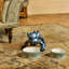 Florentine 8.2in Pet Bowl-93836799