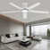 52" Elvert Flush Mount Ceiling Fan with LED Lights