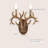 Asilah Resin Candle Wall Light