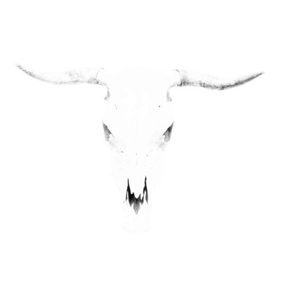 " Bleached Horns "