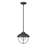 Bilger Outdoor Pendant-539281830