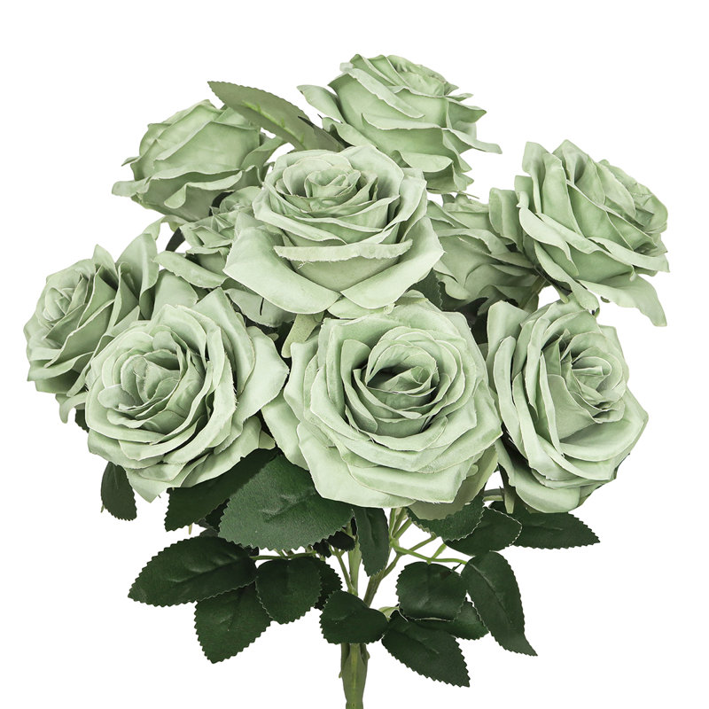 Grand rosier Jaafer Deluxe, Vert sauge
